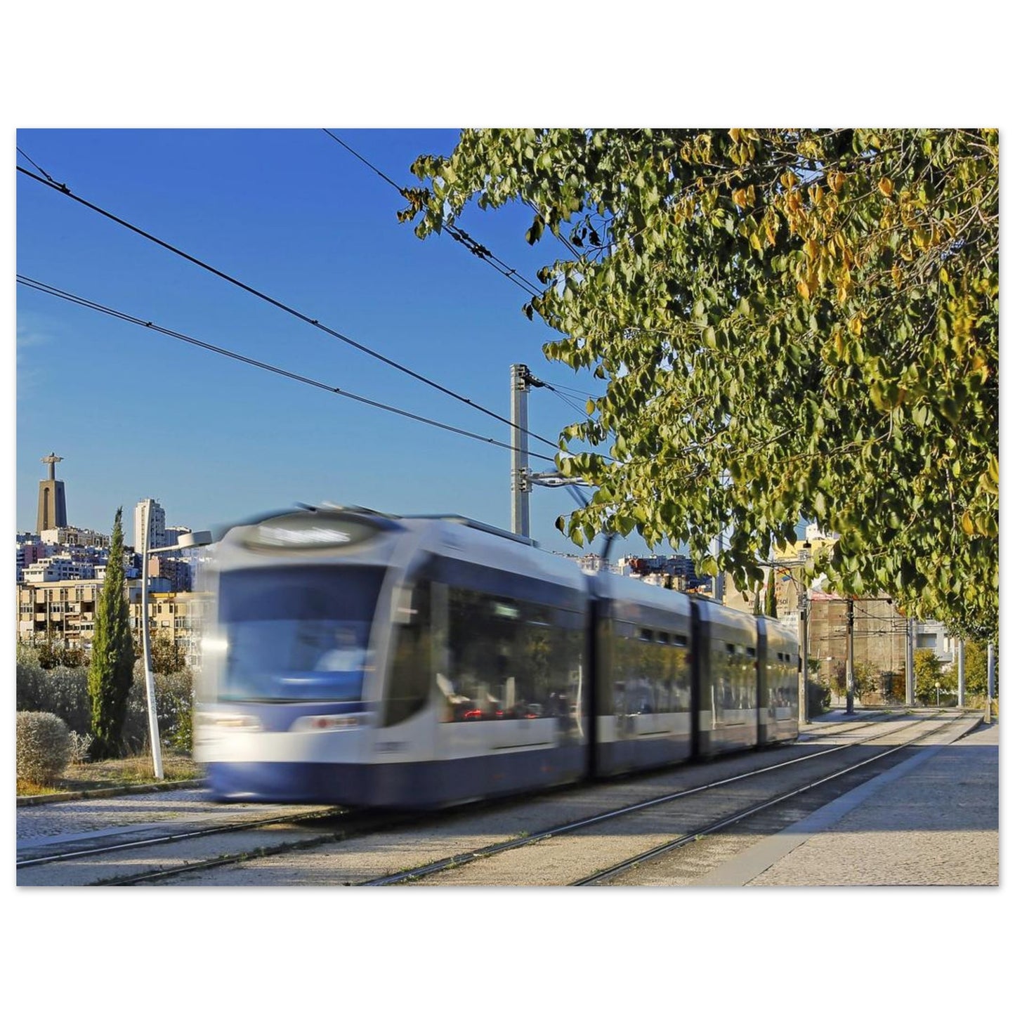 b10ec481-ceb8-4ec6-9add-5a0363fecb14